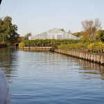 Aalsmeer: Traditional Dutch Barge Lake Cruise - What You Can Expect From This Tour