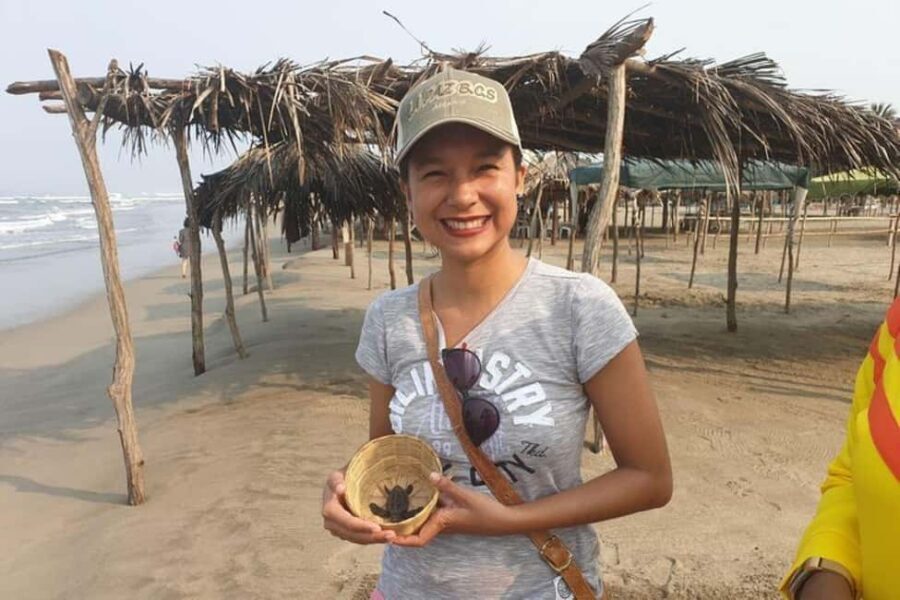 -Acapulco: 6hr City Tour & Turtle Release & High Diver Show - Authenticity and Authentic Experiences