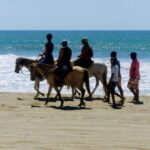-Acapulco: Horseback Ride Exp. Crocodile Farm, and City Tour - Exploring Acapulco’s Downtown & Cliff Diving Show