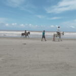 Acapulco: Horseback Riding, Turtle Camp, and Crocodile Tour - A Closer Look at the Tour Experience