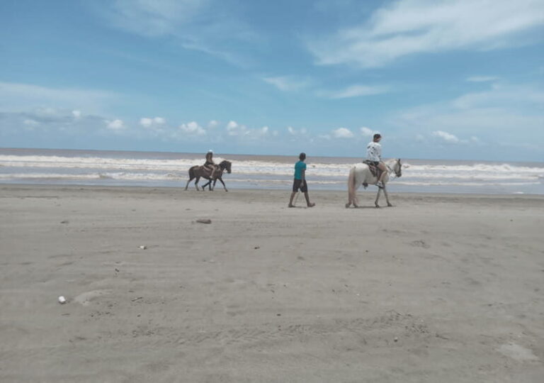 Acapulco: Horseback Riding, Turtle Camp, and Crocodile Tour - A Closer Look at the Tour Experience