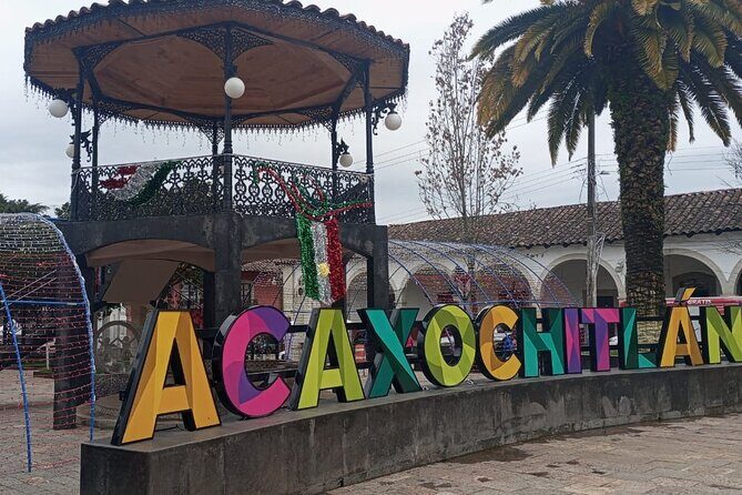Acaxochitlán Local Community and Traditions Tour from Mexico - Final Thoughts: Who Will Love This Tour?