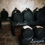 Acetaia Classica: Balsamic Vinegar Factory Tour & Tasting - Authenticity and Expert Insight