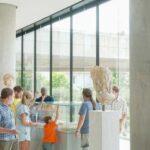 Acropolis Museum: Family Tour &Treasure Hunt w/Ticket Option - Who Will Love This Tour?