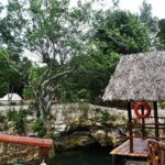 Adventure Experience in Three Cenotes and Tequila Tasting - What the Reviews Say