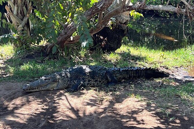 Adventure on the Emerald Coast Ventanilla, Mazunte, Puerto Ángel - Who Should Consider This Tour?