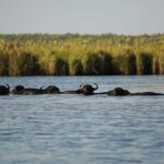 Adventure Tour In Georgia From Kutaisi - Transportation and Group Experience