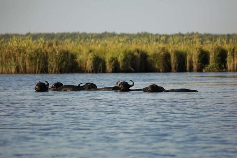 Adventure Tour In Georgia From Kutaisi - Transportation and Group Experience