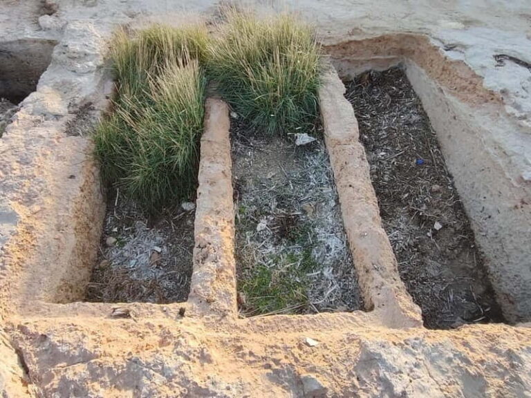 Aegina: Ancient Cemetery, Kapralos, Bouzas Lighthouse Tour - Exploring the Itinerary in Detail