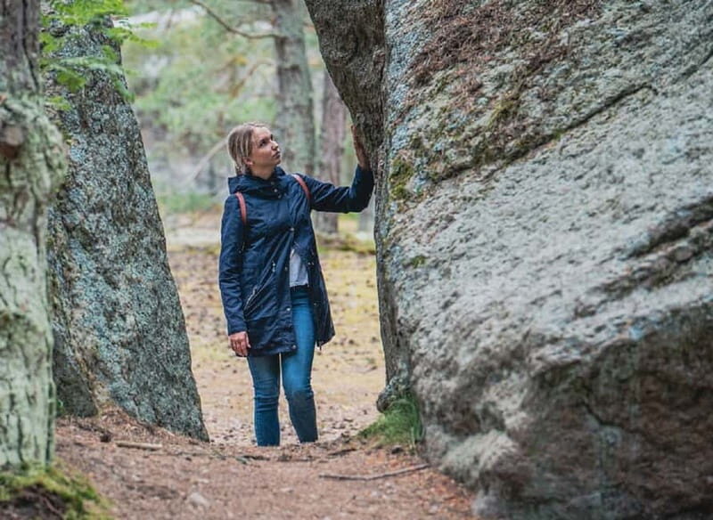 Aegna Island: Self-Guided Discovery Tour - What to Expect on Your Aegna Island Tour