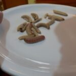 After the footsteps of Nacho Libre in Oaxaca - Who Would Love This Tour?