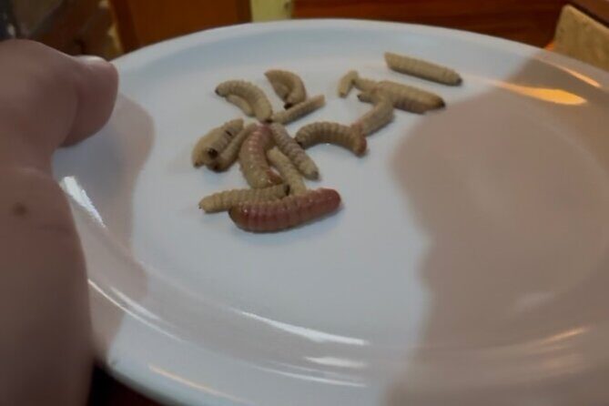 After the footsteps of Nacho Libre in Oaxaca - Who Would Love This Tour?  