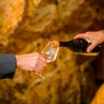 Afternoon Loire Valley Wine Tour from Tours or Amboise - Who Will Love This Tour?