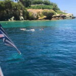 Agia Pelagia: Snorkeling Tour - Authentic Marine Encounters and Scenic Relaxation