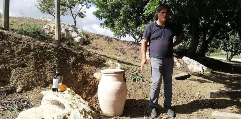 Agrigento: Vineyards and Wine Tasting Experience - Final Thoughts