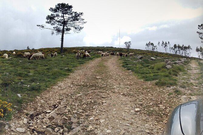 Aire & Candeeiros: Nature, Fossils and Forgotten Traditions - Exploring the Itinerary in Detail