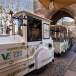 Aix-en-Provence by Electric Tourist Train  City Center Tour - Practical Tips for Your Tour