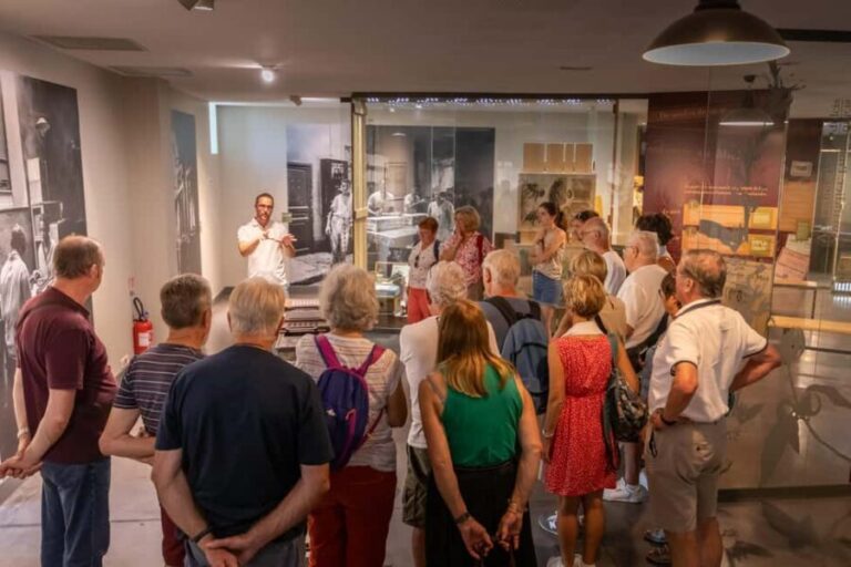 Aix en Provence: Le Roy René - "The Secret of Calisson" guided tour - The Value of the Experience