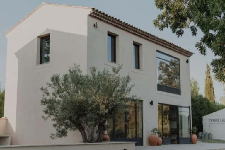 Aix-en-Provence: Visit a Lavender Field + Snacking at TERRE UGO - Why Choose This Tour?