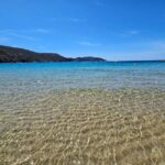 Ajaccio: Catamaran Trip to Arone Beach - The Highlights of the Trip