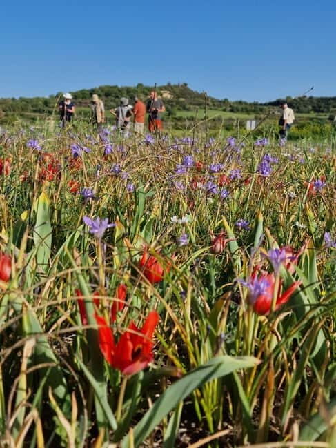 Akamas Jeep safari English, Francais, +boat trip blue Lagoon - What Makes This Tour Stand Out?