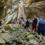 Akamas Jeep Safari Tour from Paphos - Who Will Love This Tour?