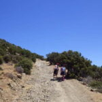 Akamas Panorama Walk (usually Adonis&Aphrodite combo) - The Itinerary in Detail