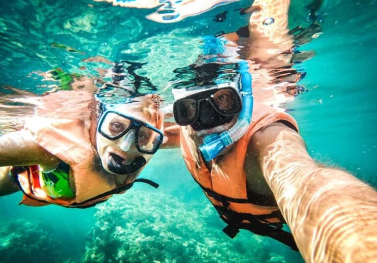Akumal: Snorkeling with Marine Life and an Expert Tour Guide - A Complete Guide to the Akumal Snorkeling Tour