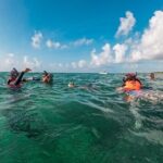Akumal Snorkeling With Turtles - The Marine Life: What You Might See