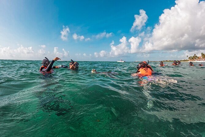 Akumal Snorkeling With Turtles - The Marine Life: What You Might See