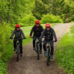 Akureyri: E-Bike Tour with Forest Lagoon Entry - Who Should Consider This Tour?