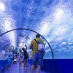 Alanya: Aquarium, Wax Museum, Snow World, Wild Park, XD Cinema - Practical Insights and Value Analysis