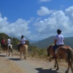 Alanya Boat Trip with Lunch, Foam Party & Swim Stops - Why This Tour Offers Good Value