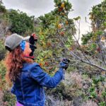 Alanya: Full-Day City Tour with Cable Car,Dimçay & Boat Trip - The Overall Value