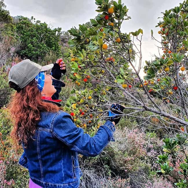 Alanya: Full-Day City Tour with Cable Car,Dimçay & Boat Trip - The Overall Value