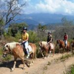 Alanya Horse Riding Experience - Who Will Love This Tour?