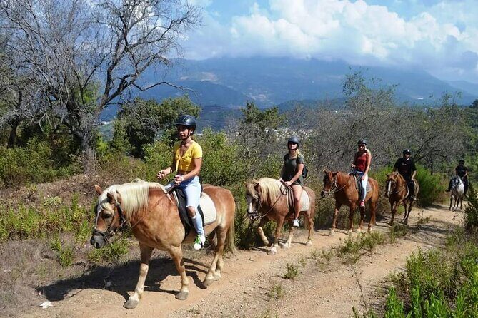 Alanya Horse Riding Experience - Who Will Love This Tour?