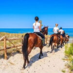 Alanya: Horse Riding Tour with Hotel Transfers - The Horses and Ethical Care