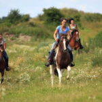 Alanya: Horseback Ride Through Nature near Syedra Ruins - The Itinerary in Detail: From Alanya to the Taurus Mountains