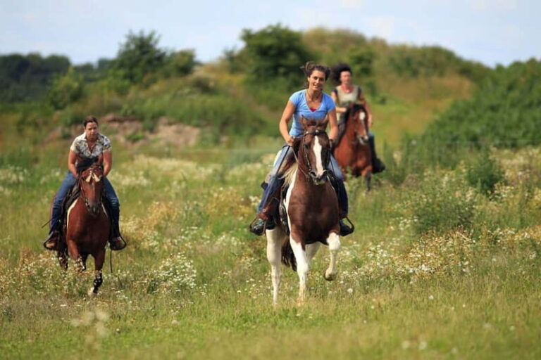 Alanya: Horseback Ride Through Nature near Syedra Ruins - The Itinerary in Detail: From Alanya to the Taurus Mountains