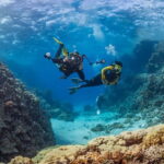 Alanya: Scuba Diving Tour with Lunch and Hotel Transfers - What Reviewers Say