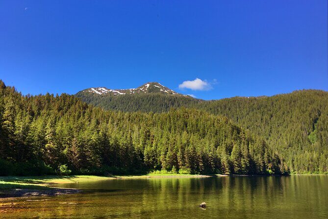 Alaska Bears and Silver Bay Homestead - Who Will Love This Tour?