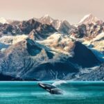Alaska: Kenai Fjords & Denali National Park 5 Day Adventure - What’s Included and What’s Not?