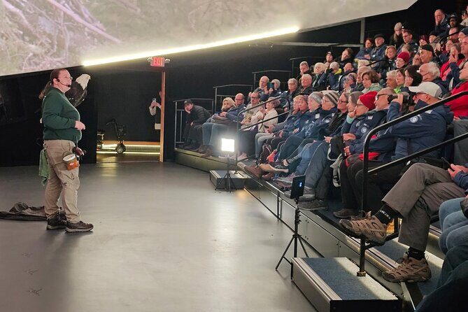 Alaska Wildlife Adventure Raptor Experience & Salmon Tales Lunch - Practical Tips for Travelers