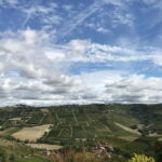 Alba: Wine Tasting and Tour with a Local Producer - Why This Tour Offers Excellent Value