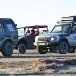 Albania: Lake Bovilla Jeep Safari with Sightseeing Point - Who Should Book This Tour?