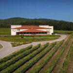 Albariño Wine Tour: Taste, Learn & Take Home a Special Gift - Is This Tour Worth It?