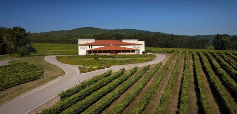 Albariño Wine Tour: Taste, Learn & Take Home a Special Gift - Is This Tour Worth It?
