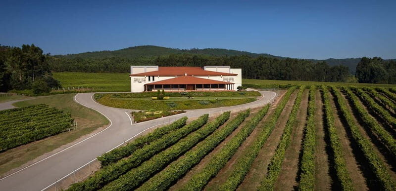Albariño Wine Tour: Taste, Learn & Take Home a Special Gift - Is This Tour Worth It?
