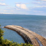 Albufeira: 1-Hour Tuk Tuk Tour - Why This Tour Is a Great Choice